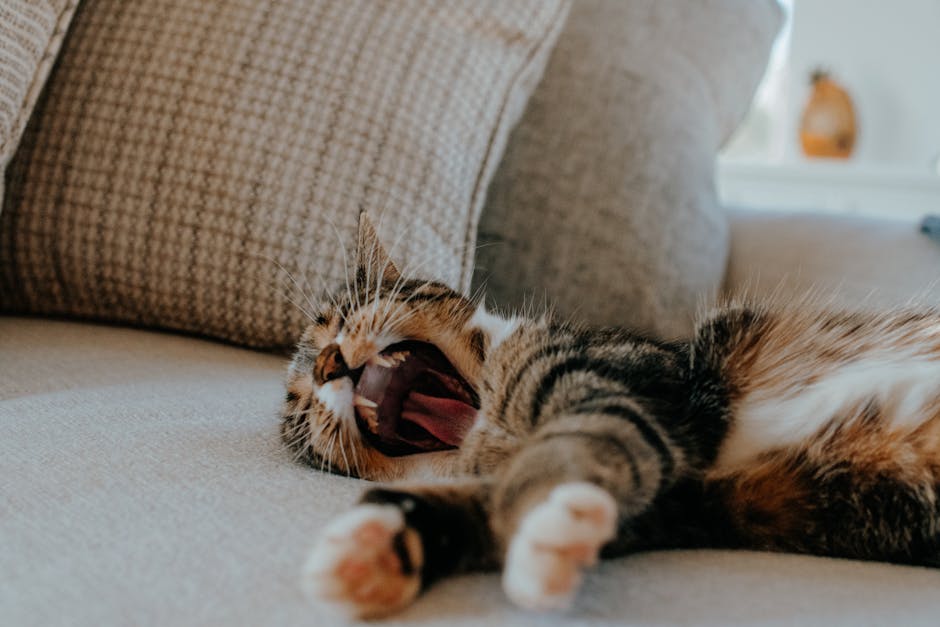 Sawing Logs?  A Symphony Of Snorts?  Taming The Nighttime Noise!