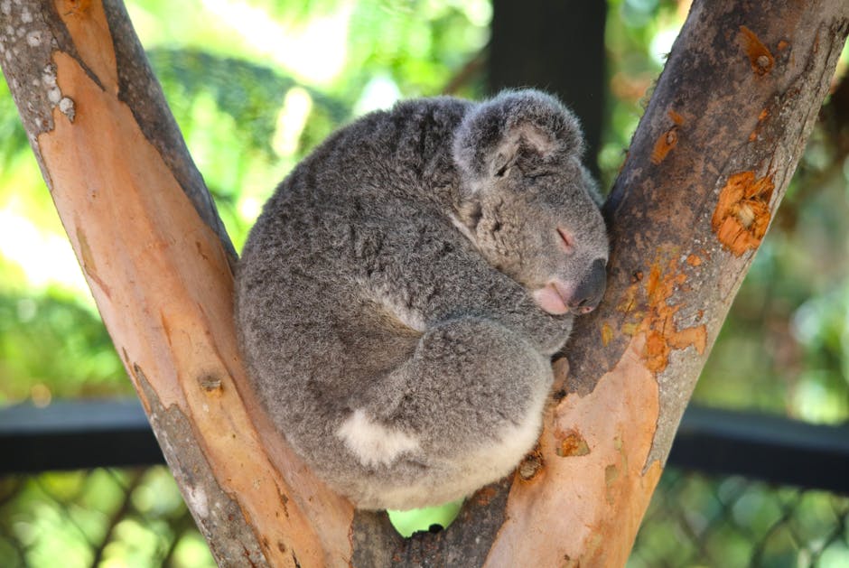Sawing Logs?  A Symphony Of Snorts?  Taming The Nighttime Noise!
