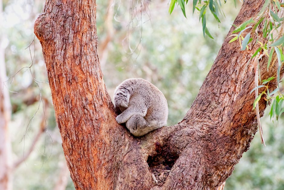 Tips And Guide To Stop Snoring: Effective Remedies And Solutions