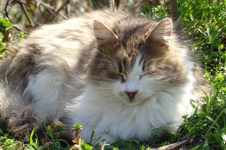 Snoring?  Don&039;t Lose Sleep Over It &ndash; Here&039;s What You Can Do!