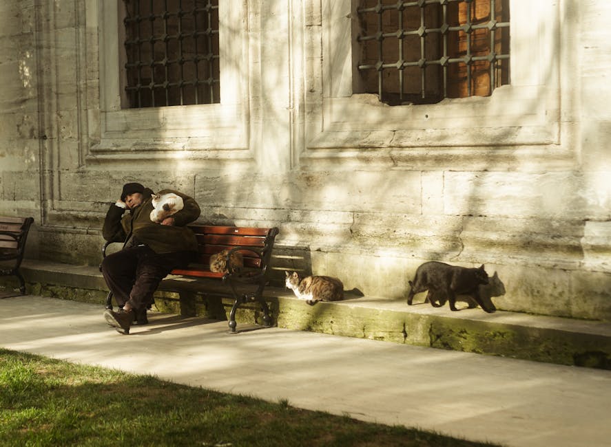 Silence The Night: Effective Snoring Remedies For A Peaceful Sleep