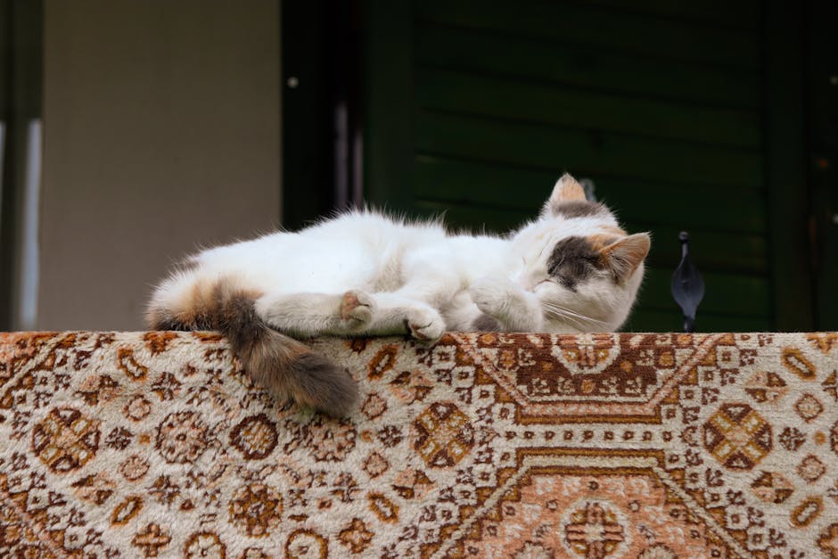 Snoring?  Don&039;t Lose Sleep Over It &ndash; Here&039;s What You Can Do!