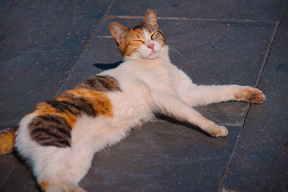 Snoring? Here&039;s How To Quiet Those Nighttime Noises!