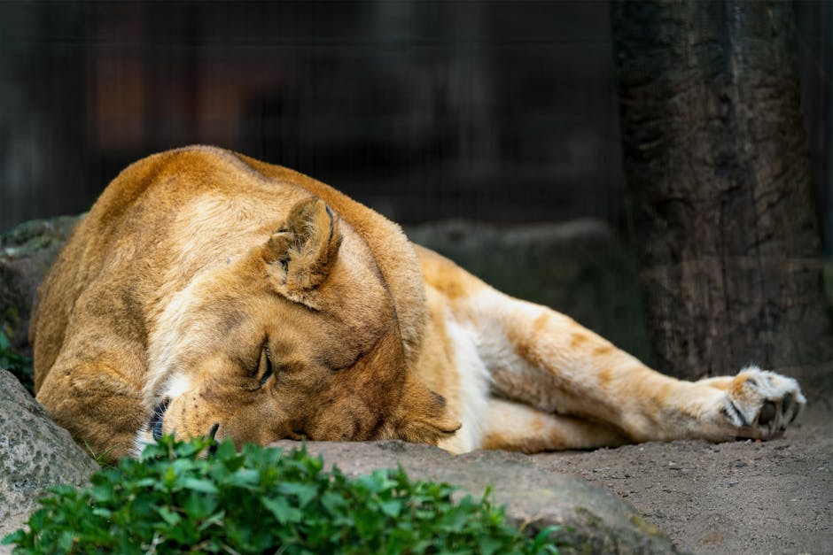 7 Proven Snoring Remedies That Will Help You (and Your Partner) Sleep Better