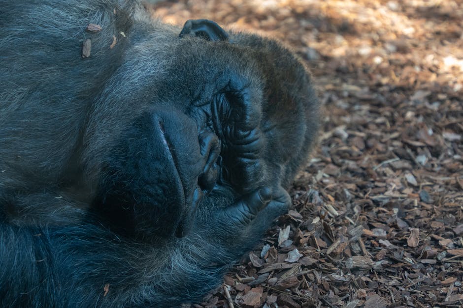 7 Snoring Remedies That Will Help You Sleep Better