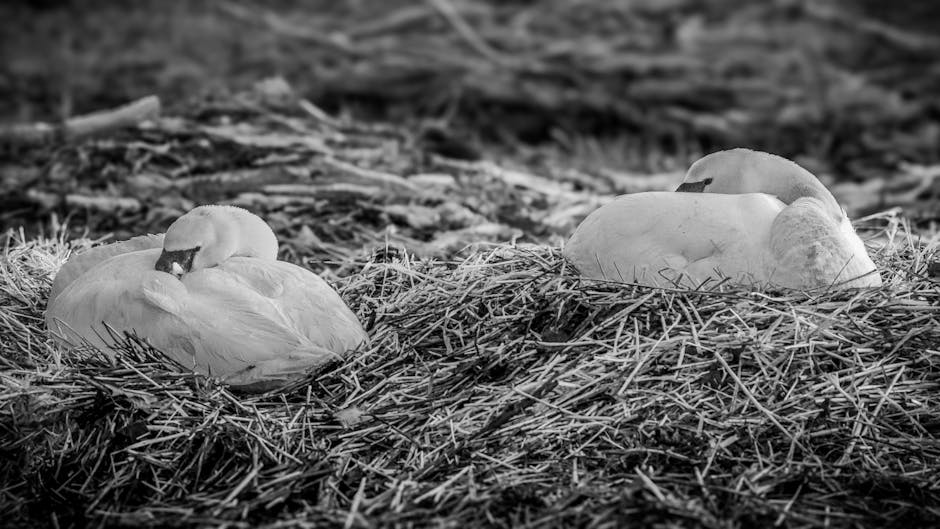 How To Silence The Night: Effective Snoring Remedies