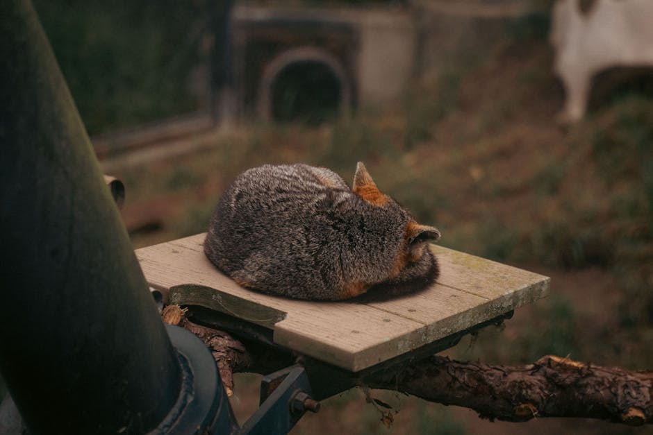 7 Snoring Remedies That Might Just Change Your Life (and Your Partner&rsquo;s)