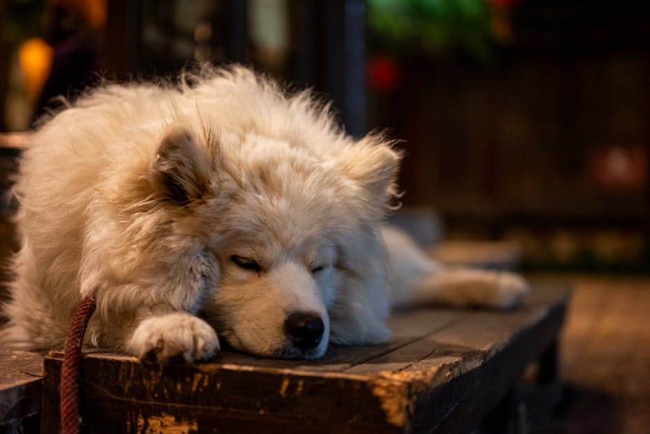 Sawing Logs?  A Symphony Of Snorts?  Taming The Nighttime Nose Trumpet!