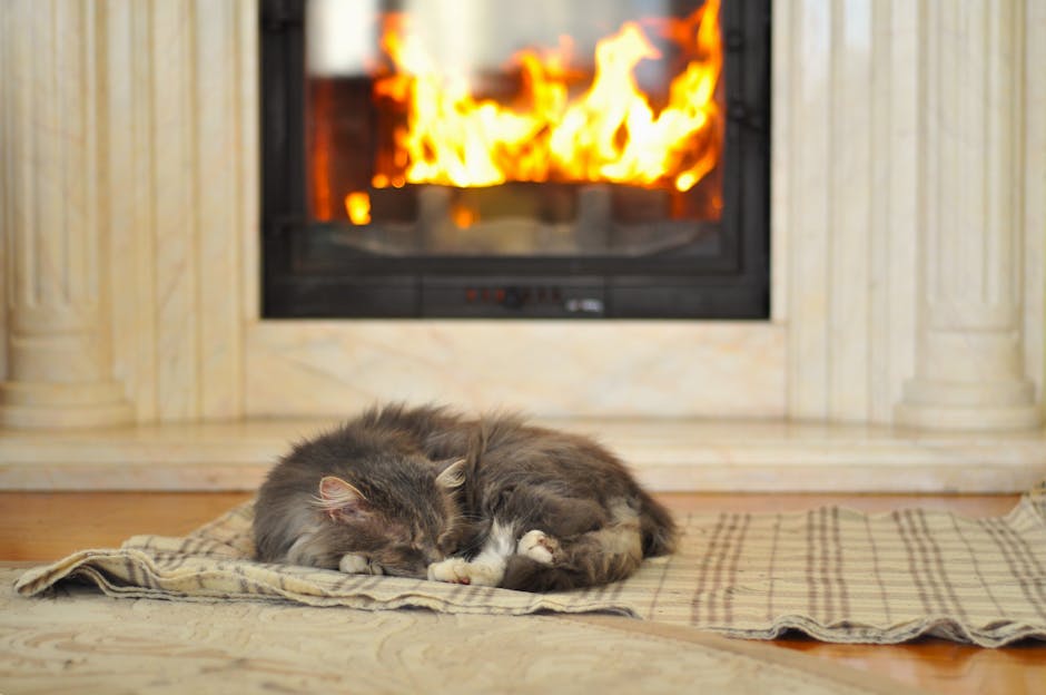 Silence The Night: Effective Snoring Remedies For A Peaceful Sleep