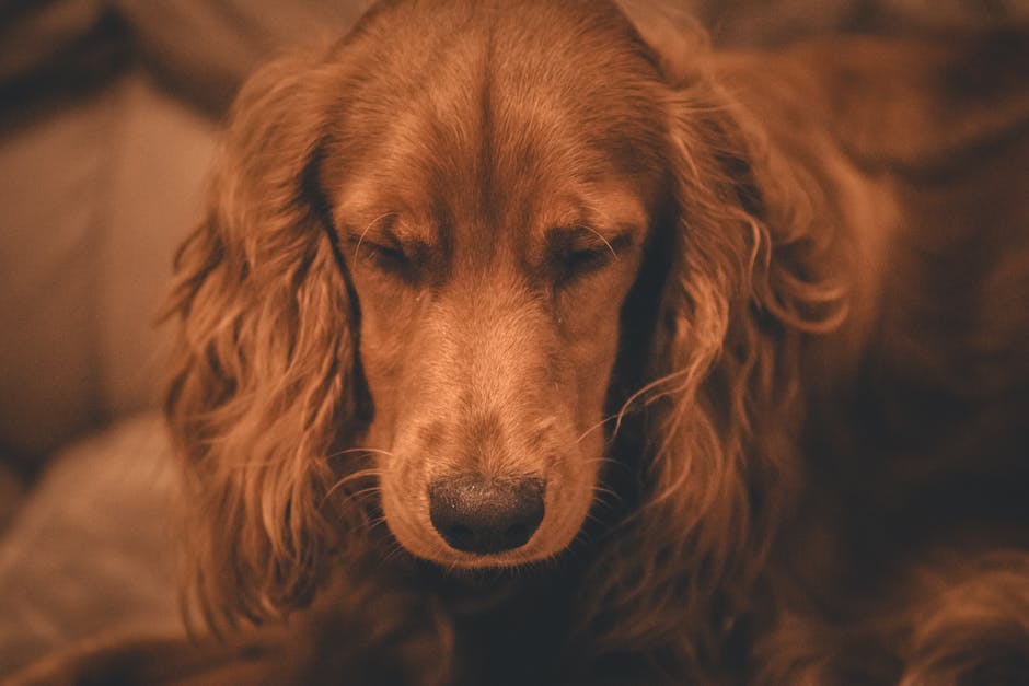 How To Silence The Night: Effective Snoring Remedies