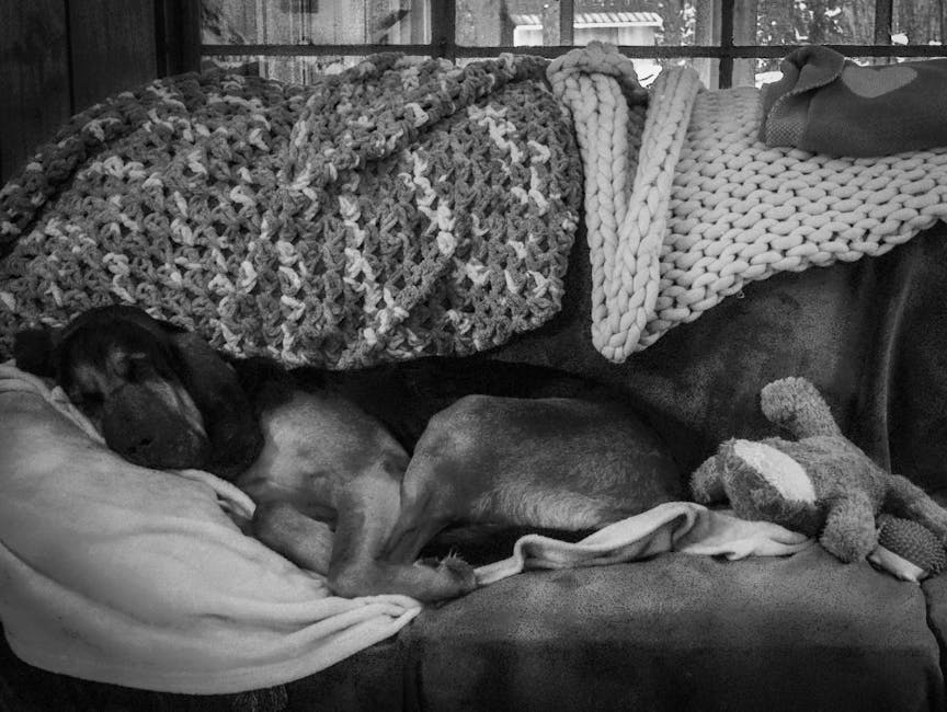 Silence The Night: Natural Snoring Remedies For A Peaceful Sleep