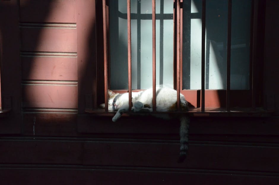 Sawing Logs?  A Symphony Of Snorts?  Taming The Nighttime Noise!