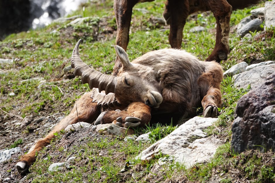 7 Snoring Remedies That Will Help You (and Your Partner) Sleep Better