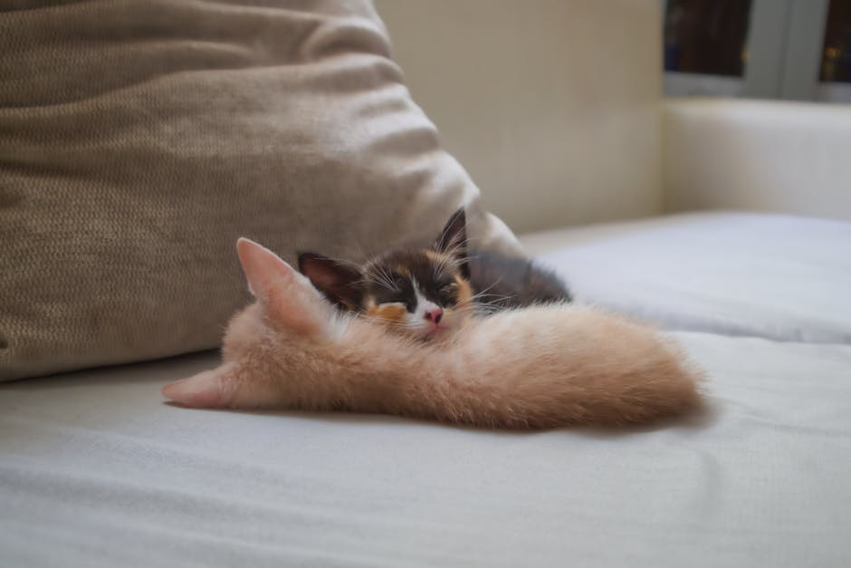 How To Silence The Night: Effective Snoring Remedies