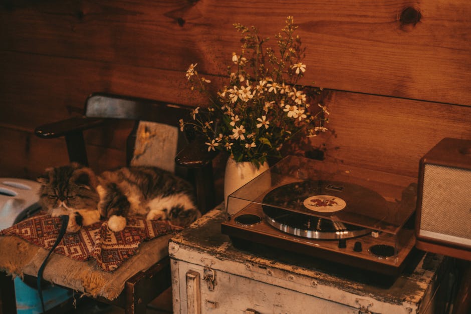 My Partner&039;s Symphony Of Snorts: Finding Peace In A Noisy Bedroom