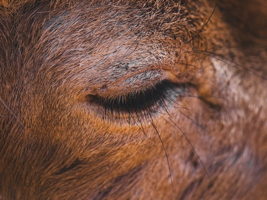 My Partner&039;s Snoring Was Driving Me Crazy! Here&039;s How We Found Peace (and Quiet).