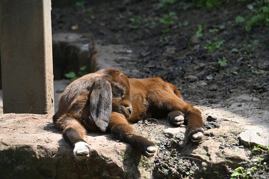 7 Proven Snoring Remedies That Will Help You (and Your Partner) Sleep Better