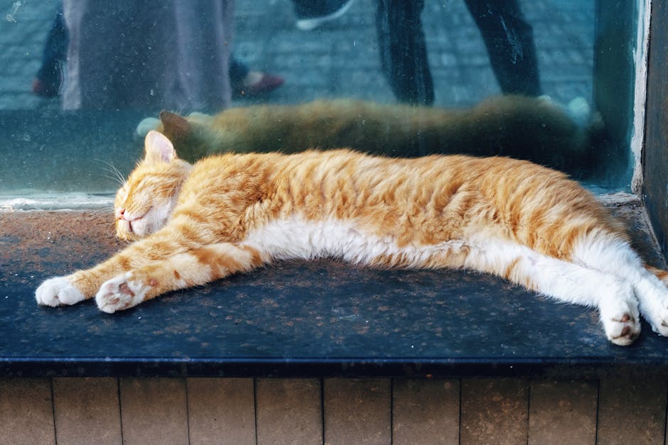 Silence The Night: Natural Snoring Remedies For A Peaceful Sleep