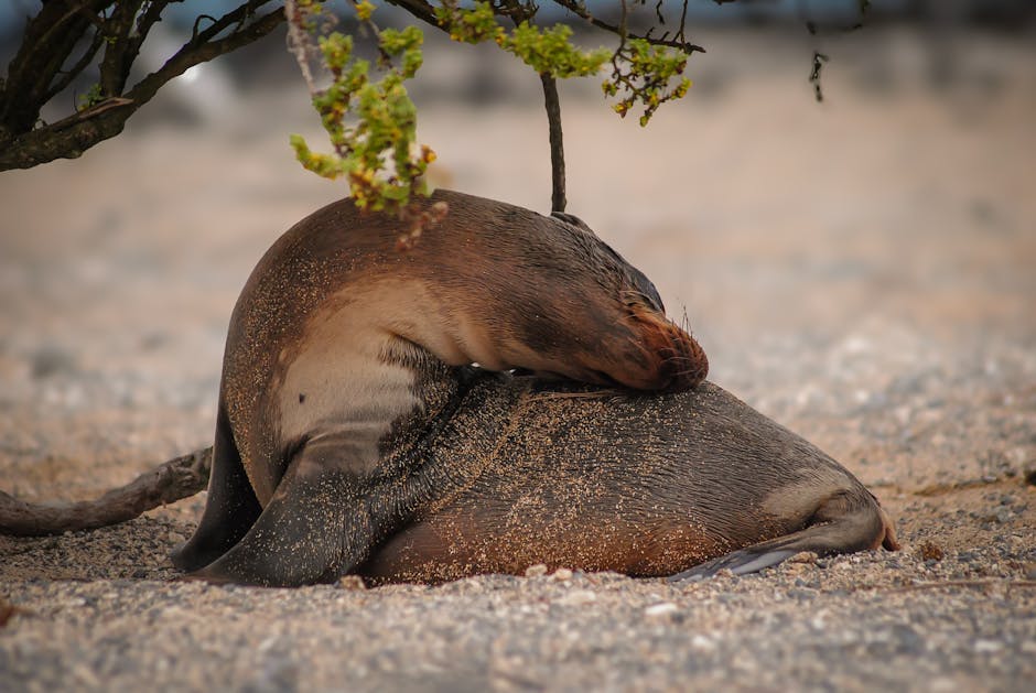 Snoring?  Don&039;t Let It Ruin Your Sleep (or Your Partner&039;s!)