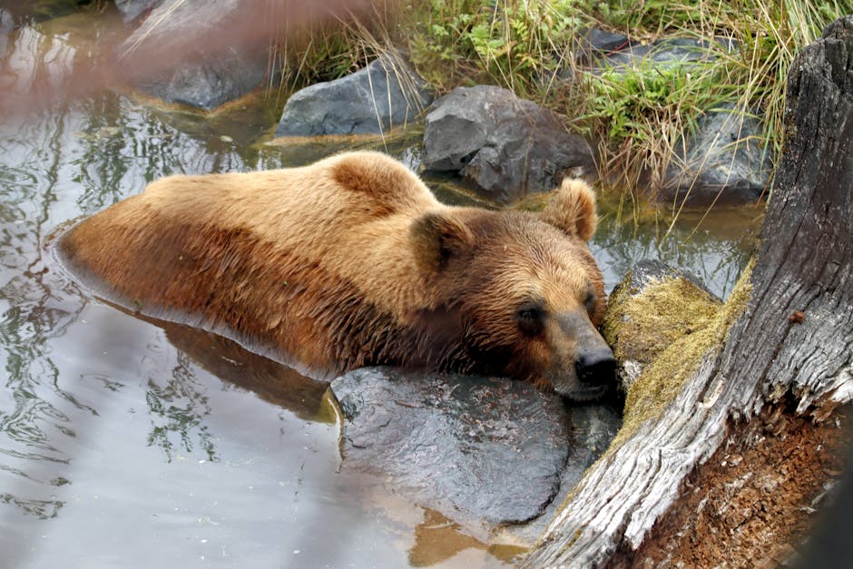 7 Snoring Remedies That Will Help You (and Your Partner) Sleep Better