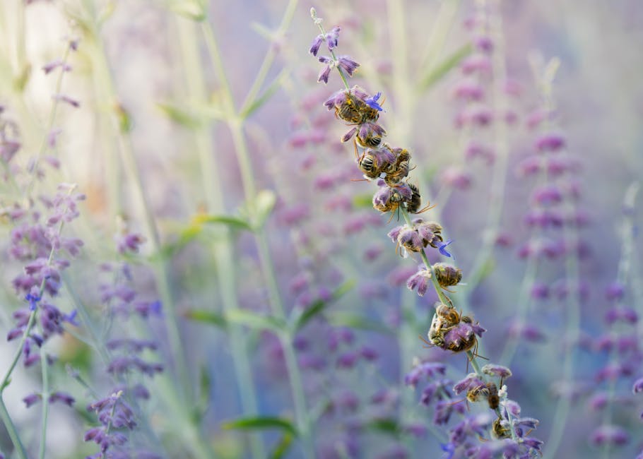 Silence The Night: Effective Snoring Remedies For A Peaceful Sleep