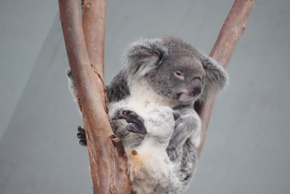 Snoring?  Don&039;t Lose Sleep Over It!