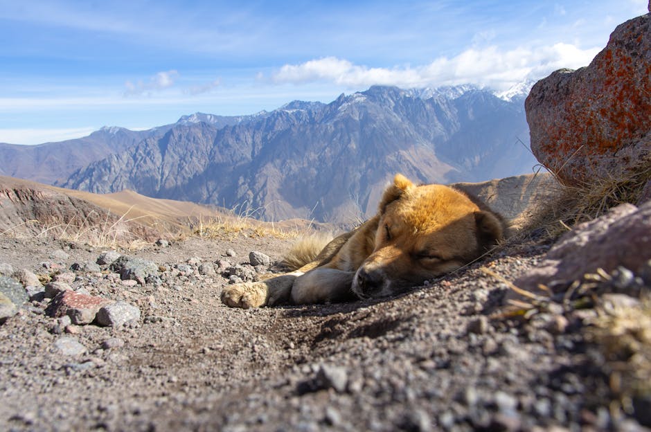 7 Proven Snoring Remedies That Will Help You (and Your Partner) Sleep Better