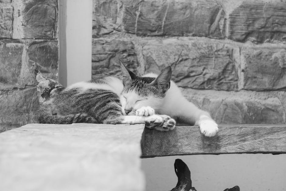 How To Silence The Night: Effective Snoring Remedies