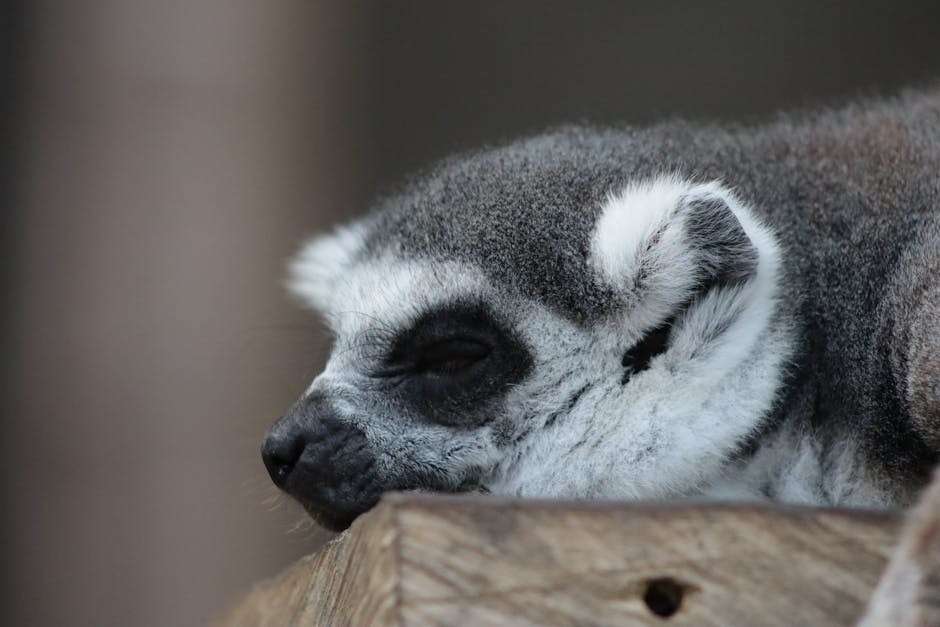 Seriously? My Snoring Is Driving Everyone Crazy! Help!