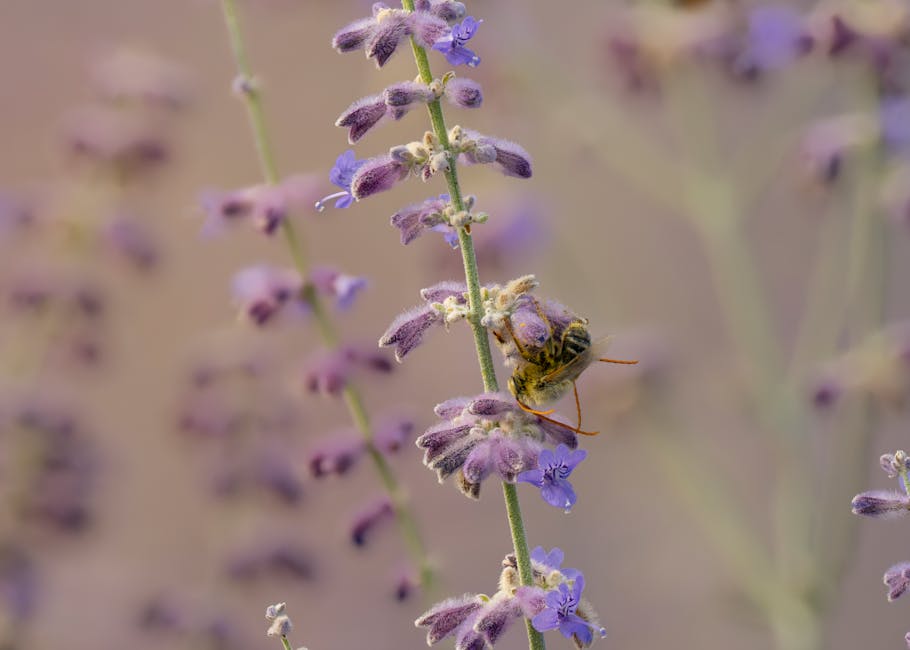 7 Proven Snoring Remedies That Will Help You (and Your Partner) Sleep Better