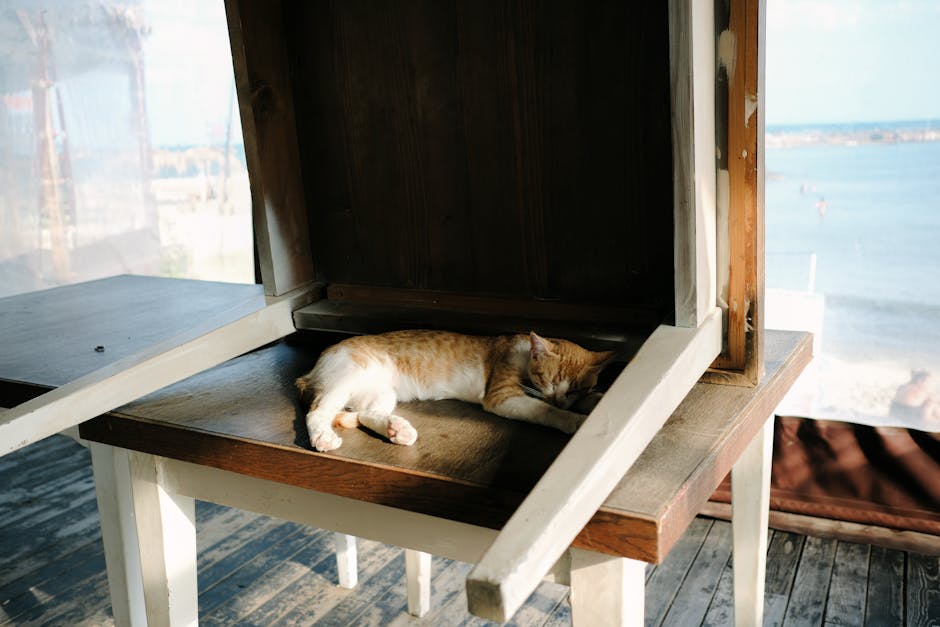 Snoring?  Don&039;t Let It Ruin Your Sleep (or Your Partner&039;s!)