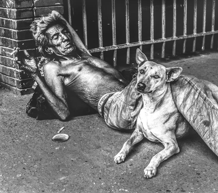 Silence The Night: Natural Snoring Remedies For A Peaceful Sleep