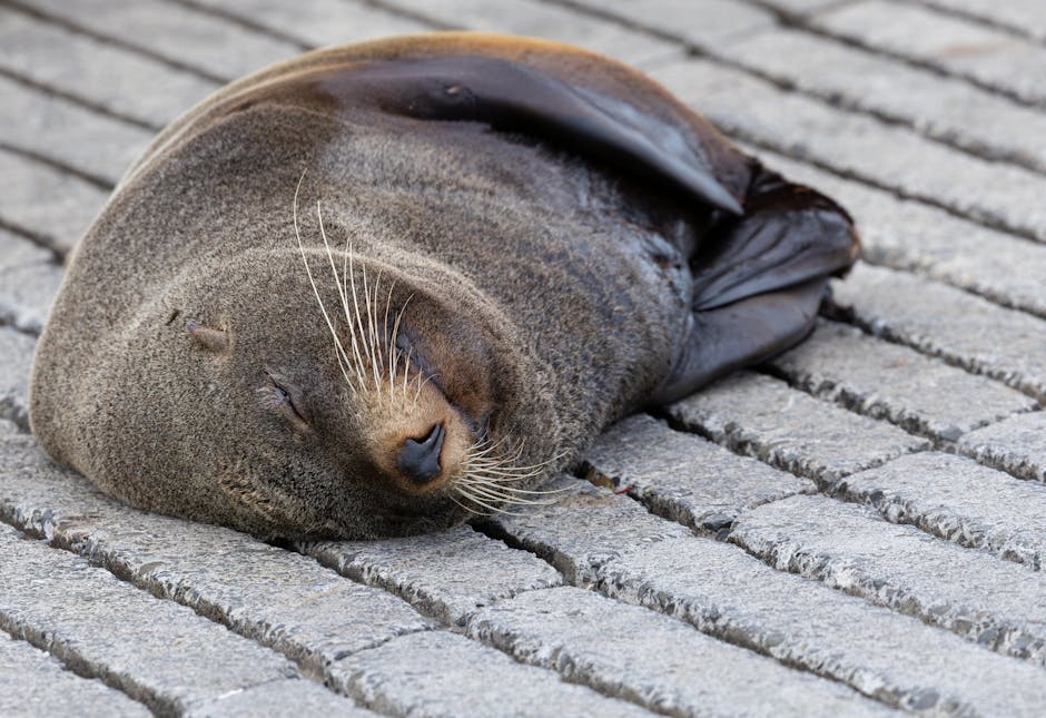 My Partner&039;s Snoring Was Driving Me Crazy! Here&039;s How We Found Peace (and Quiet).