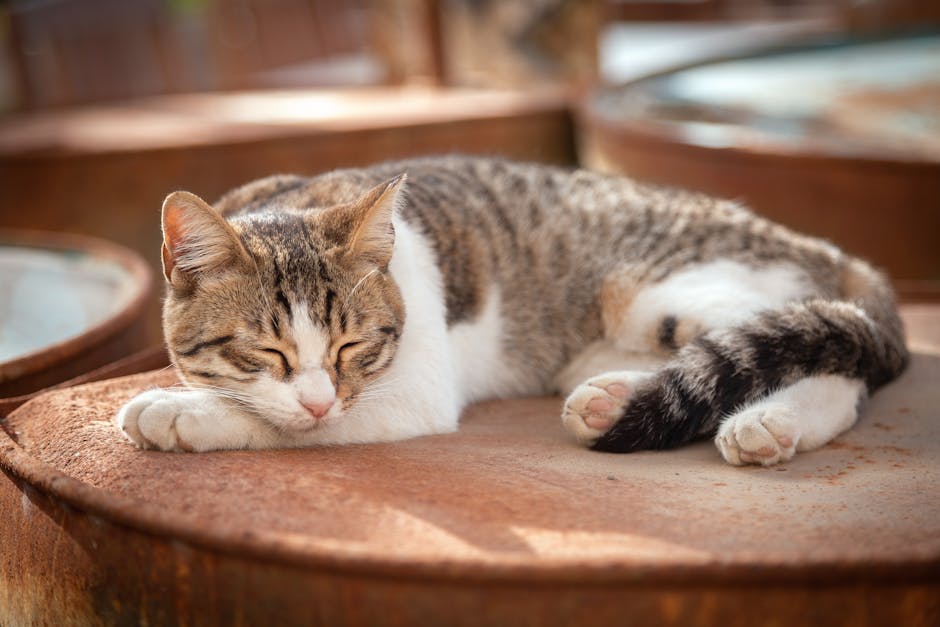 7 Snoring Remedies That Will Help You Sleep Better