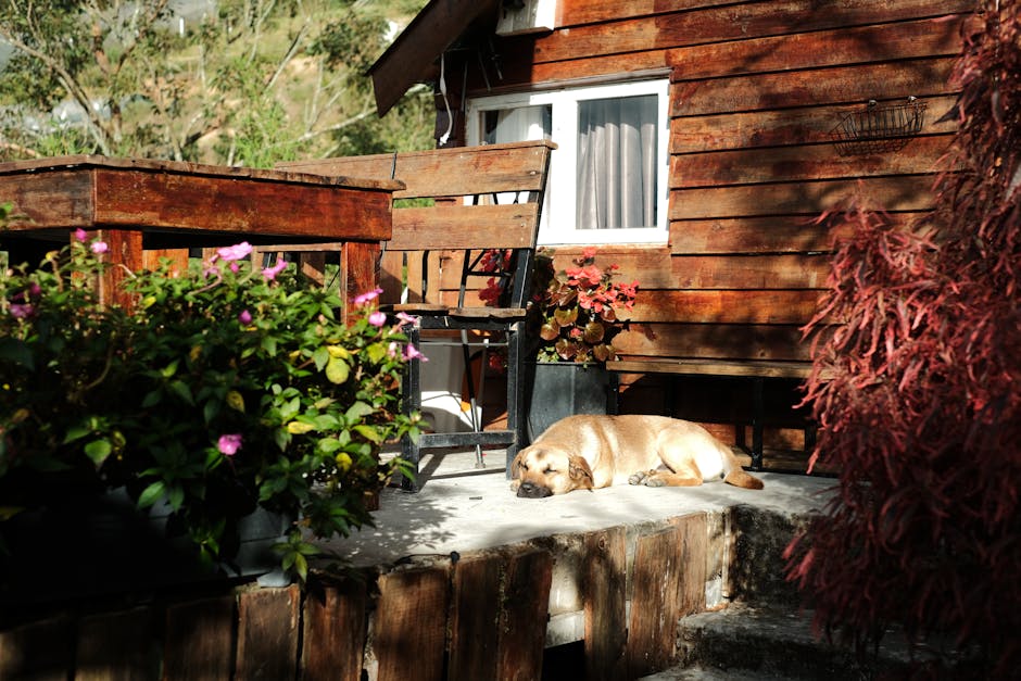 Sawing Logs?  A Symphony Of Snorts?  Taming The Nighttime Nasal Noise!